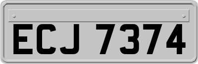 ECJ7374
