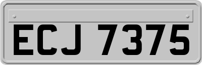 ECJ7375