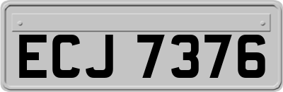 ECJ7376