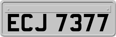 ECJ7377