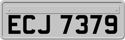 ECJ7379