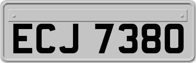 ECJ7380