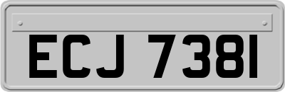 ECJ7381