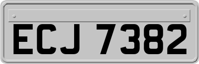 ECJ7382