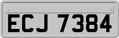 ECJ7384