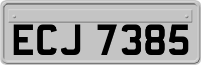 ECJ7385