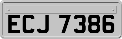 ECJ7386