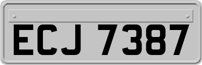 ECJ7387