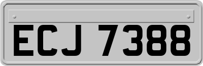 ECJ7388