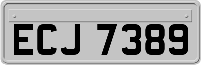 ECJ7389