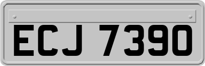 ECJ7390