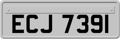 ECJ7391