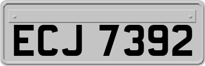 ECJ7392