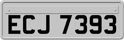 ECJ7393