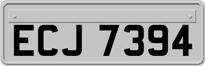 ECJ7394