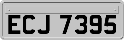 ECJ7395