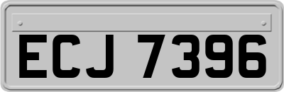 ECJ7396