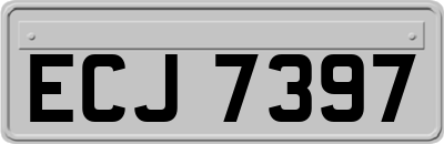 ECJ7397