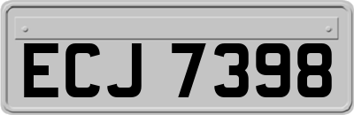 ECJ7398