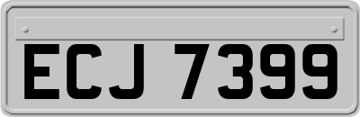 ECJ7399
