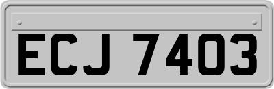 ECJ7403