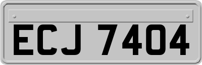 ECJ7404