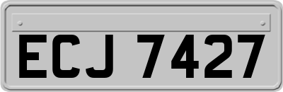ECJ7427