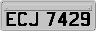 ECJ7429