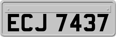 ECJ7437