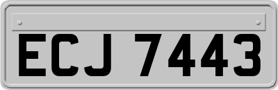 ECJ7443