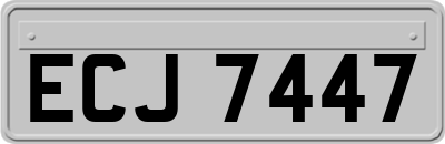 ECJ7447