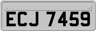 ECJ7459