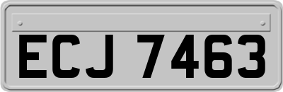 ECJ7463