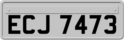ECJ7473