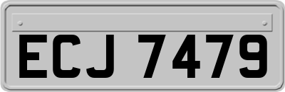 ECJ7479