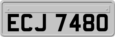ECJ7480