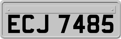 ECJ7485