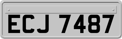 ECJ7487
