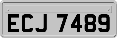 ECJ7489