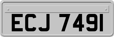 ECJ7491
