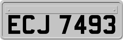 ECJ7493
