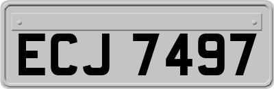 ECJ7497