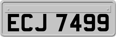 ECJ7499