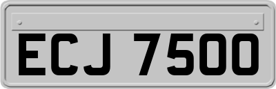 ECJ7500