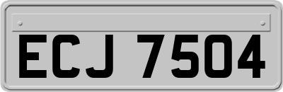 ECJ7504