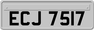 ECJ7517