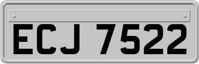 ECJ7522