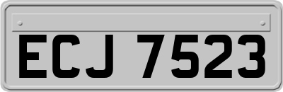 ECJ7523