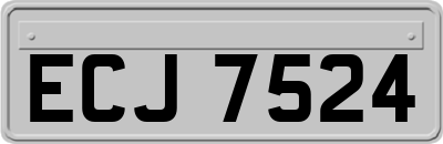 ECJ7524