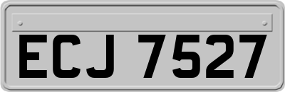 ECJ7527